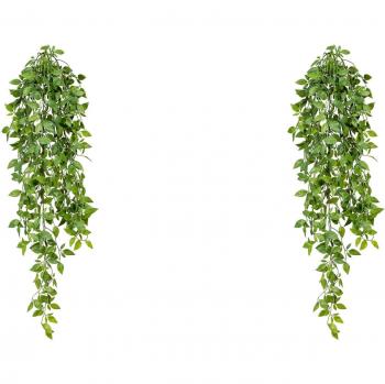 Kreative Grünpflanze: Epipremnum Miniblatt-Hänger (80 cm) – Creativ Green