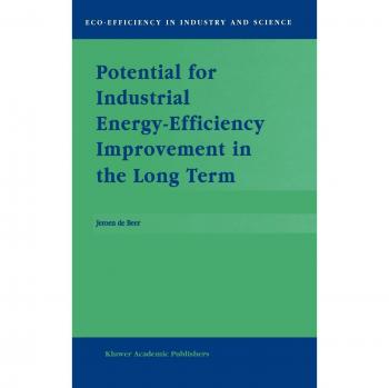 Potential for Industrial Energy-Efficiency Improvement in the Long Term (Eco-Efficiency in Industry and Science, 5, Band 5)