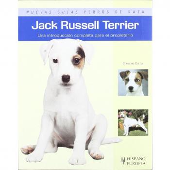 Jack Russell Terrier