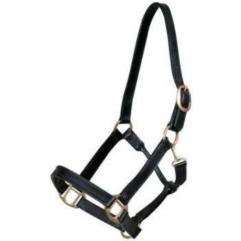 PFIFF Cuir Noir Licol