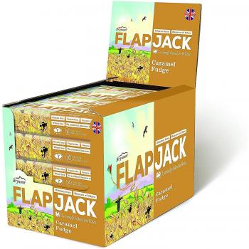 80g Brynmor Caramel & Fudge Flapjack