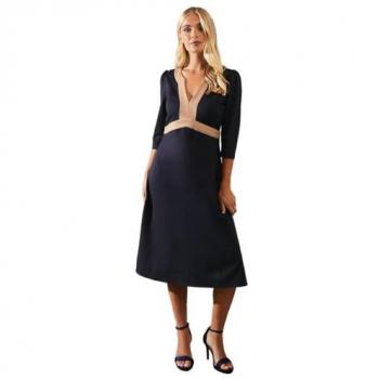 Petite Women's Navy Ponte Midi Dress with Contrast Detail