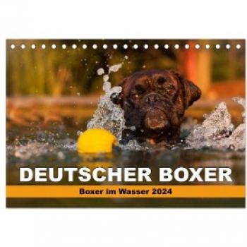 Tischkalender Deutscher Boxer im Wasser 2024