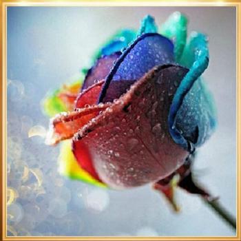 5D DIY Rose Diamond Art Cross Stitch Craft
