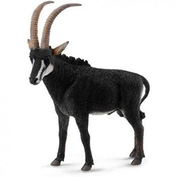 Grand Mâle d'Antilope à Sabre – Collecta