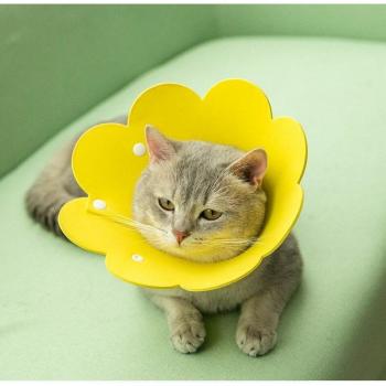Soft Recovery Cone for Pets
