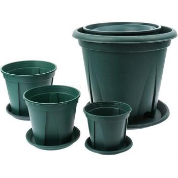 Racine Plastique Grand