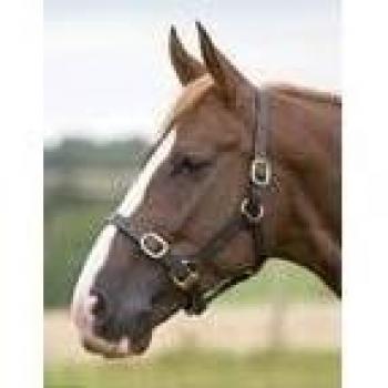 Shires Velocity GARA Leather Headcollar – Black/X Full