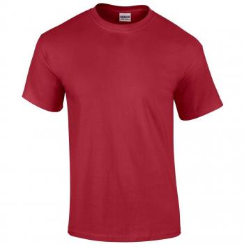 Red Cardinal Gildan Ultra Cotton Short Sleeve Tee Set (5), XXL