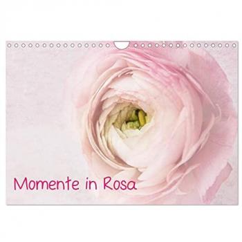 Momente in Rosa (Wandkalender 2025 DIN A4 quer) CALVENDO Monatskalender