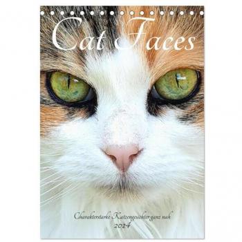 Cat Faces