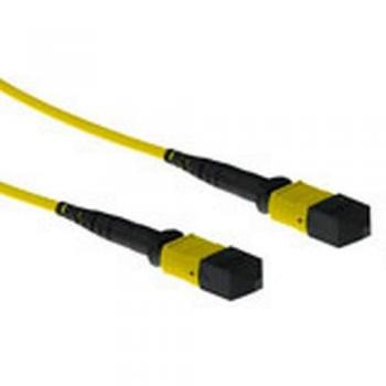 1 m MTP‑MPO (F) 9/125 OS 2 P B Kabel