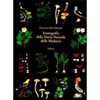 Iconografia della storia naturale delle Madonie. Ediz. illustrata