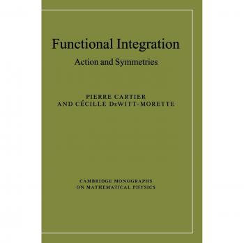 Functional Integration: Action and Symmetries