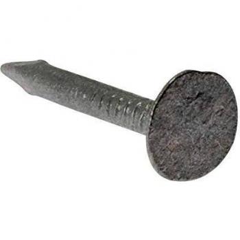 ForgeFix Galvanised Head Clout Nail
