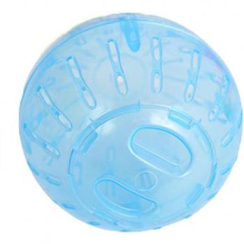 Plastic Hamster Ball