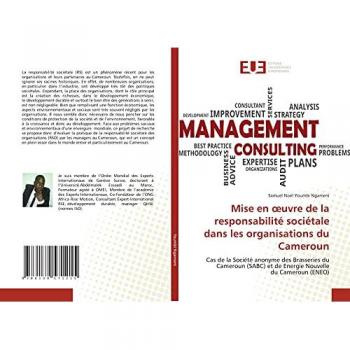 Mise en œuvre de la responsabilité sociétale dans les organisations du Cameroun: Cas de la Société anonyme des Brasseries du Cameroun (SABC) et de Energie Nouvelle du Cameroun (ENEO)