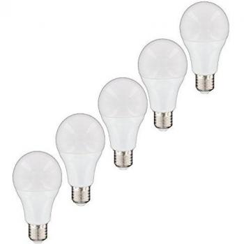 Lot de 5 ampoules E27 LED 6W blanc chaud