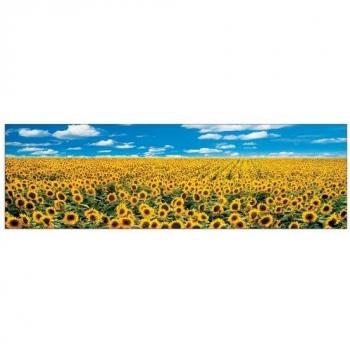 Tableau florissant 100x29 cm