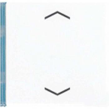 Jung 4-Phasen Taster Messing Classic