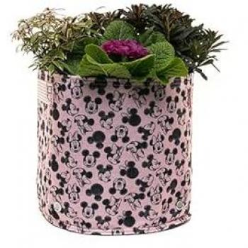 Eco‑Friendly Mickey & Minnie Garden Fabric Pot – Small Pink