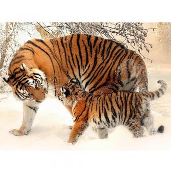 Rhinestone Tiger 5D Diamond Craft Kit – 20×30 cm Mosaic Art