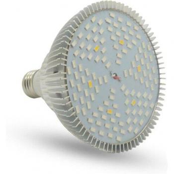 Éclairage LED pour la croissance des plantes d'intérieur avec support E27