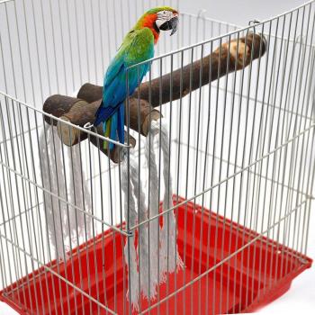 Jouet Perroquet à Percher – Cintre avec Cuir