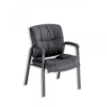 Professional Camden Visitor Chair by Sonix