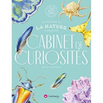Cabinet de curiosités