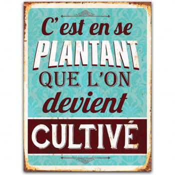 Wandplaat met humor 'Berichten' turquoise bruin (C'est en se plantant que l'on devient Cultivé)