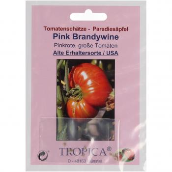 TROPICA Pink Brandywine Seed Pack, 2 g