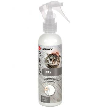 Shampooing Sec pour Chats, 200 ml – Flambeau Floral
