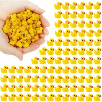Plantes en Pot avec Mini Canards Jaunes