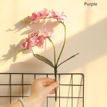 Ramas de Orquídea para Pasillo Nupcial