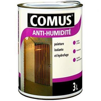 Peinture Hydrofuge Antimoisissure 3L Lieux Humides