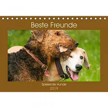 Beste Freunde