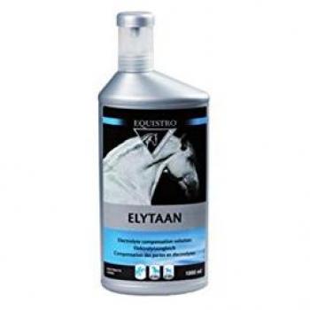 Équistro Elytaan Cheval