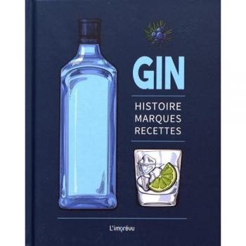 Gin : Histoire, marques, recettes