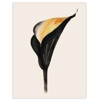 Calla Lily Gold‑Tinted Elegance – 24W x 32H Art Print