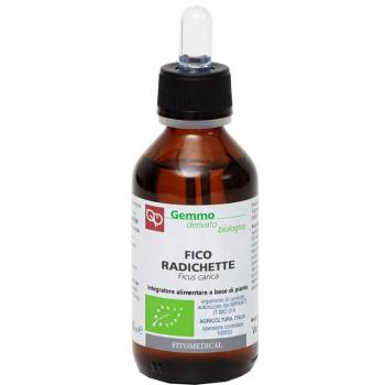 FICO RADICHETTE GD 100ML BIO