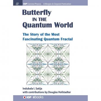 The Butterfly in the Quantum World: The story of the most fascinating quantum fractal