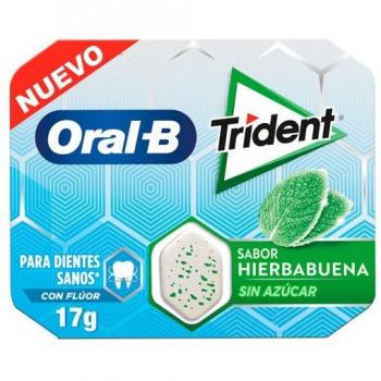 TRIDENT ORAL B Sugar Free Spearmint Flavor 10 U