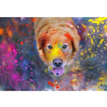 5D Dog Cross Stitch Diamond Painting (20x30CM)