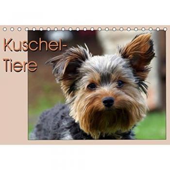 Kuschel-Tiere