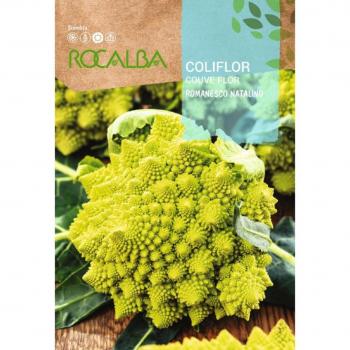 Caciflor Romanesco Natalino 100G