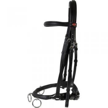 X-Full Black Horse Guard by Caveson