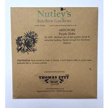 Thomas Nutley Purple Globe Artichoke Seed Kit – Unusual Heritage