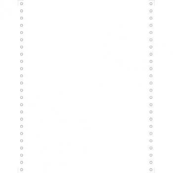 000 Feuilles de Listing Blanc 240x12 1 Pli Microperforées 4 Côtés Bandes Caroll Détachables