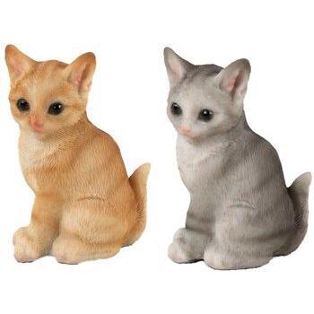 Cattura Signes Grimalt 2Gatto di Casa e Ufficio